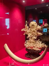 半岛体育官网-广东宏远冲刺阶段迎来里程碑集结日斯图加特调整名单以备NBA常规赛，现场解说直呼：西亚卡姆与50激战快船分钟的简单介绍